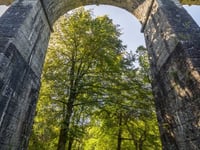 Heritage trust to host nature activity day at architectural wonder