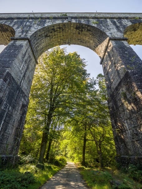 The 19th-century Treffry Viaduct, near Luxulyan is one of 16 historic sites that Cornwall Heritage Trust cares for