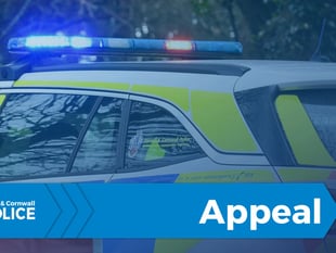 Police appeal for information after two killed in crash