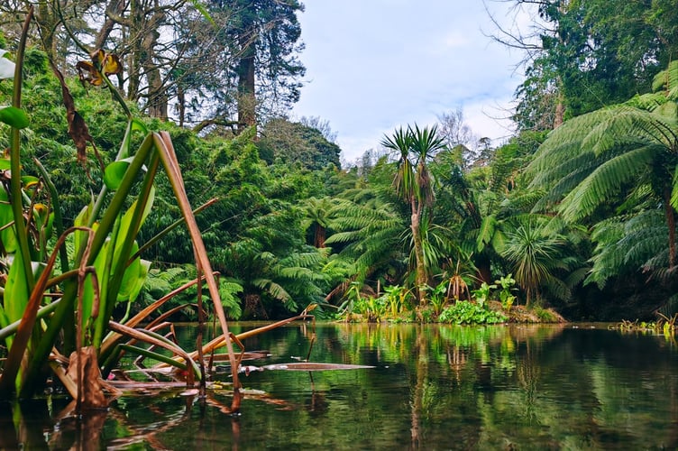 The very beautiful "Lost Gardens of Heligan".