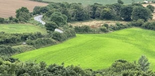 Plans for green recycling centre cause stink locally