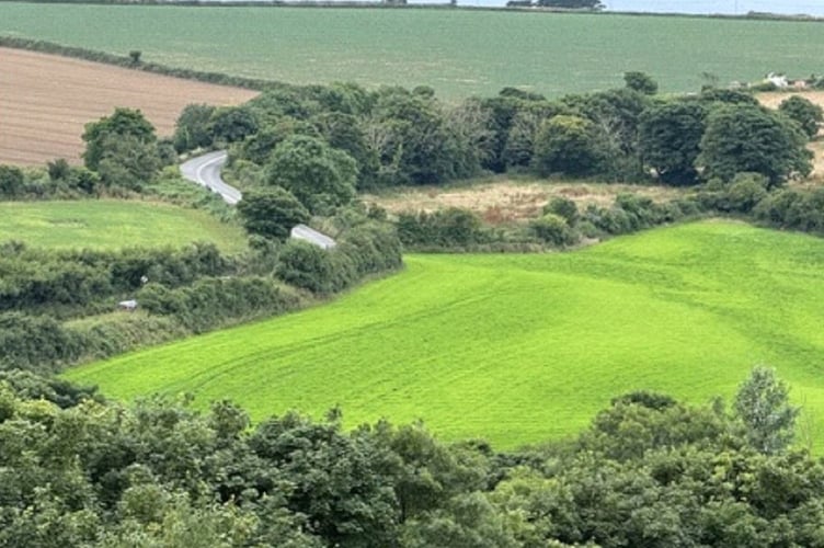 The site at Roseworthy Hill, Connor Downs.