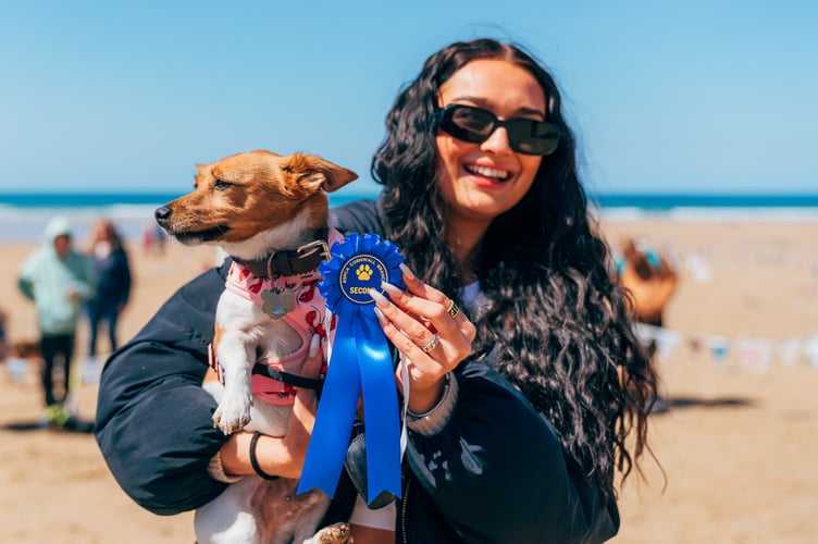 Watergate dog show.