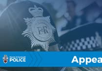 Police appeal for information after man assaulted in Saltash
