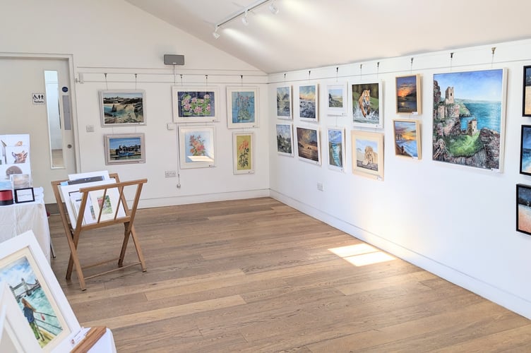 Newquay Society of Artists Trenance Exhibition.