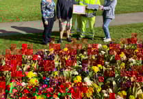 Awards heaped on Trenance Gardens is certainly growing