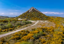 Natural beauty and evolving scenes around Sky Tip in Cornwall