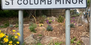 Green-fingered volunteers give village entrance a makeover
