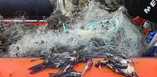 Dozens of birds and fish have died in metres of abandoned fishing net