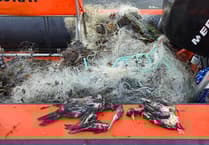 Dozens of birds and fish have died in 400 metres of abandoned fishing net