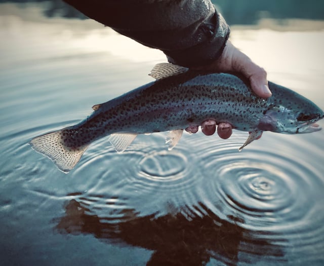 Fishing improves during April at South West Lakes Trusts sites