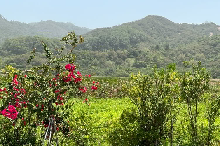 The lush New Territories of Hong Kong
