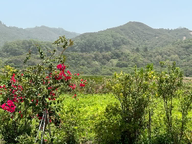 The lush New Territories of Hong Kong