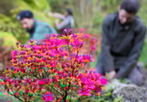 Weather has been great for plants, says Eden Project
