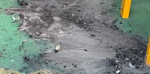 Vandals damage popular play park after setting equipment alight