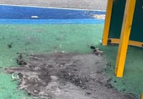 Vandals damage popular play park after setting equipment alight
