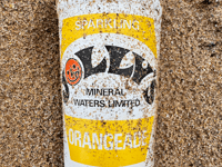 Vintage drinks can discovered during beach clean 