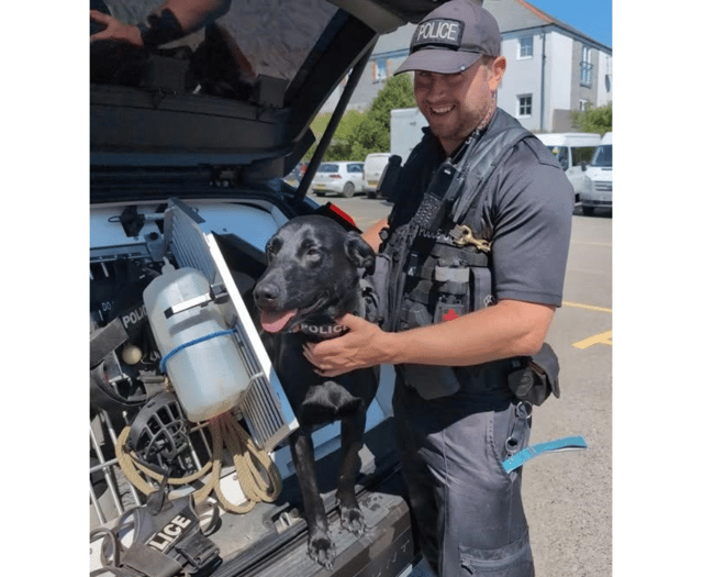 Drug dog Jasper visits local schools to deter illegal drug use