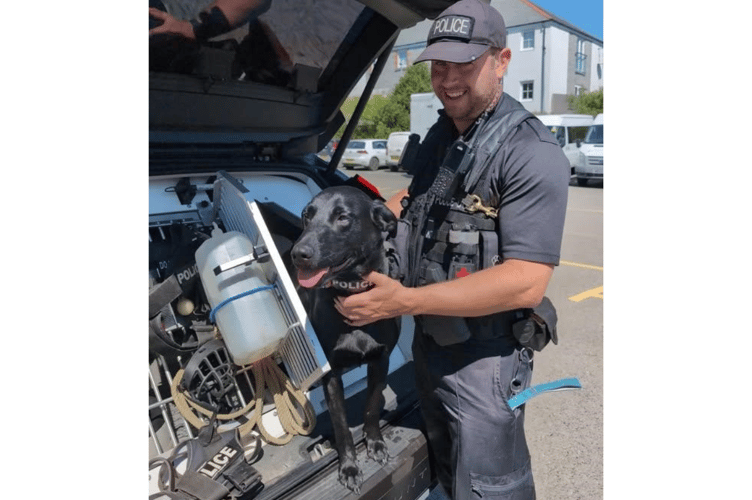 Drug dog Jasper visits local schools in Cornwall to deter illegal drug use.