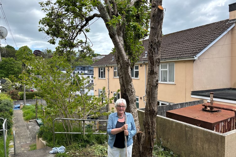Jackie Dash and the cherry tree.