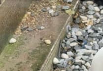 Residents' lives being made a misery following rat infestation