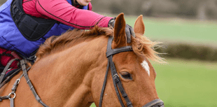 Young horse rider selected to travel to China for a trip of a lifetime