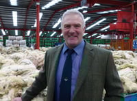 Wool prices at a seven year high as demand grows
