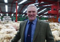 Wool prices at a seven year high as demand grows