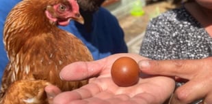 Family amazed after finding 'one-in-a-billion Malteser shaped' egg