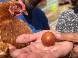 Family amazed after finding 'one-in-a-billion Malteser shaped' egg