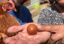 Family amazed after finding 'one-in-a-billion Malteser shaped' egg