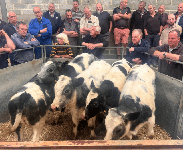 Truro Livestock Market Report: Wednesday, May 14
