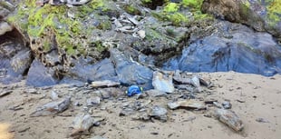 Warnings renewed following rockfall at popular beach