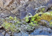 Warnings renewed following rockfall at popular beach