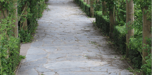 New family activity trail created in Newquay to attract visitors