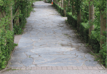 New family activity trail created in Newquay to attract visitors