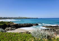 Voices and stories of the community to be celebrated