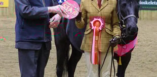 Teen and pony qualify for equine event