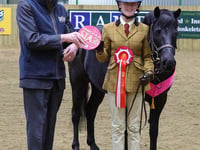 Teen and pony qualify for equine event