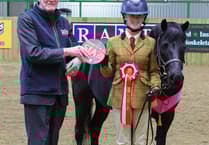 Truro Teen's rescue pony success