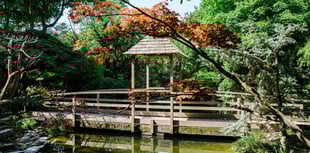 Japanese garden to open in support of children's hospice