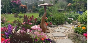Call for green-fingered gardeners to show off their efforts