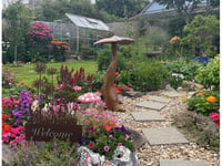 Call for green-fingered gardeners to show off their efforts