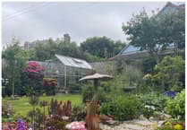 Call for green-fingered gardeners to show off their efforts