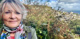 Cornish author explores life, bees and community in her latest novel