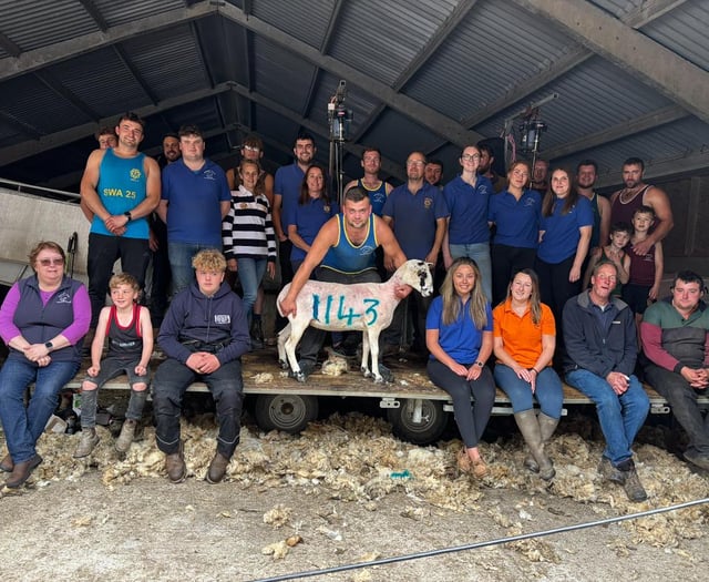 Young Farmers' Club help raise more than £4,000 in 24-hour shearathon