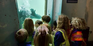 City kids witness baby lobster release