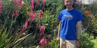 Gardening with Martin Pallett: How to make new plants for free