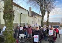 Trees at centre of protests will need to be cut down