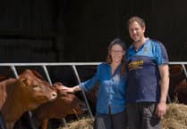 Sustainable farm near St Austell reports surge in meat sales